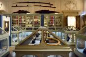 museo di storia naturale bologna 8-2022 3990